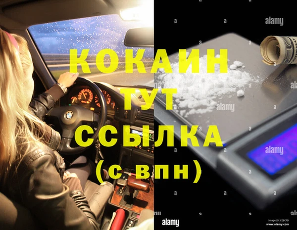 мдпв Осинники