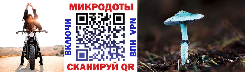 как найти закладки  blacksprut tor  Галлюциногенные грибы ЛСД  Новая Ладога 